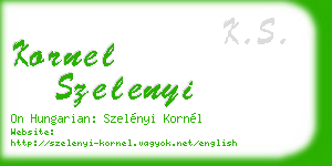 kornel szelenyi business card
